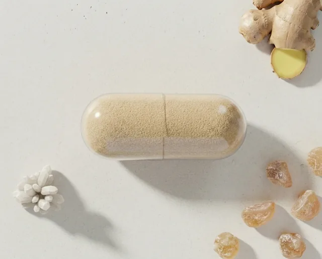 Ginger+ Mastic capsule