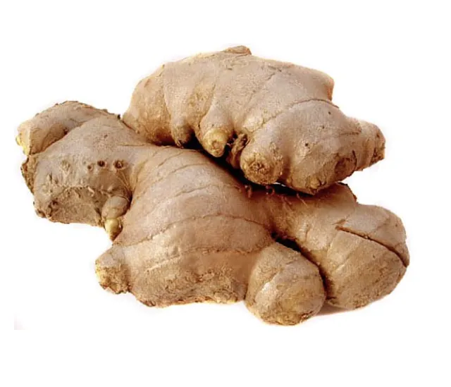 A whole ginger root